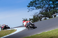 07th-to-9th-January-2019;Phillip-Island;event-digital-images;motorbikes;no-limits;peter-wileman-photography;trackday;trackday-digital-images