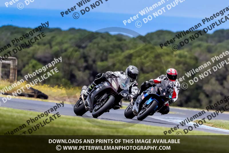 07th to 9th January 2019;Phillip Island;event digital images;motorbikes;no limits;peter wileman photography;trackday;trackday digital images