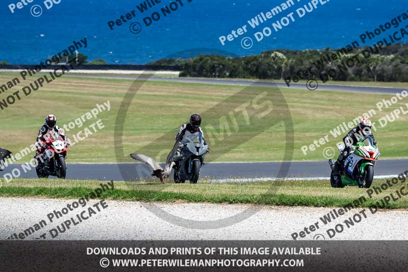 07th to 9th January 2019;Phillip Island;event digital images;motorbikes;no limits;peter wileman photography;trackday;trackday digital images