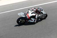 07th-to-9th-January-2019;Phillip-Island;event-digital-images;motorbikes;no-limits;peter-wileman-photography;trackday;trackday-digital-images