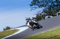07th-to-9th-January-2019;Phillip-Island;event-digital-images;motorbikes;no-limits;peter-wileman-photography;trackday;trackday-digital-images