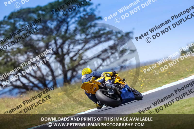 07th to 9th January 2019;Phillip Island;event digital images;motorbikes;no limits;peter wileman photography;trackday;trackday digital images