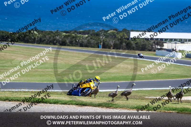 07th to 9th January 2019;Phillip Island;event digital images;motorbikes;no limits;peter wileman photography;trackday;trackday digital images