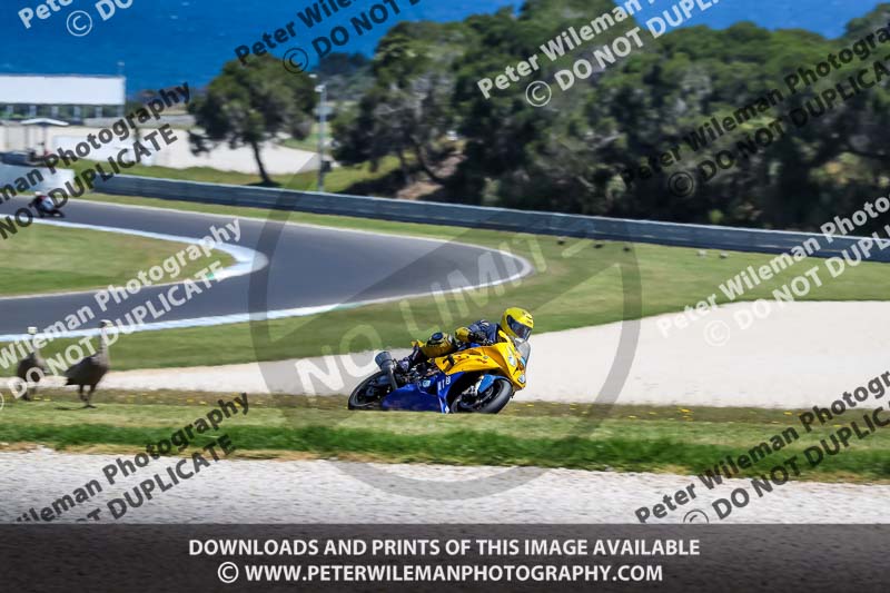 07th to 9th January 2019;Phillip Island;event digital images;motorbikes;no limits;peter wileman photography;trackday;trackday digital images