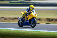 07th-to-9th-January-2019;Phillip-Island;event-digital-images;motorbikes;no-limits;peter-wileman-photography;trackday;trackday-digital-images