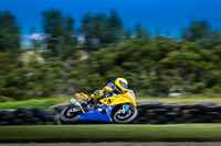 07th-to-9th-January-2019;Phillip-Island;event-digital-images;motorbikes;no-limits;peter-wileman-photography;trackday;trackday-digital-images