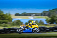 07th-to-9th-January-2019;Phillip-Island;event-digital-images;motorbikes;no-limits;peter-wileman-photography;trackday;trackday-digital-images