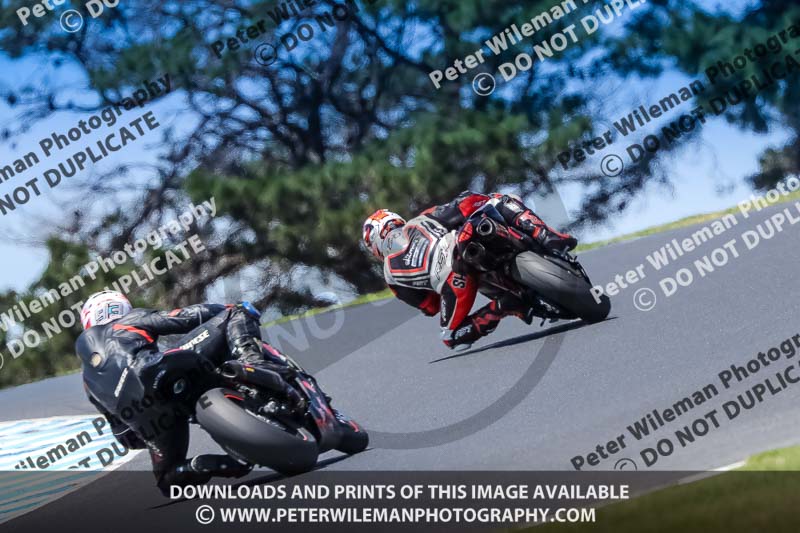 07th to 9th January 2019;Phillip Island;event digital images;motorbikes;no limits;peter wileman photography;trackday;trackday digital images
