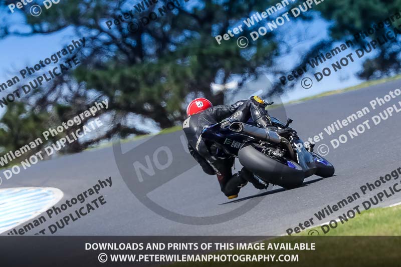 07th to 9th January 2019;Phillip Island;event digital images;motorbikes;no limits;peter wileman photography;trackday;trackday digital images