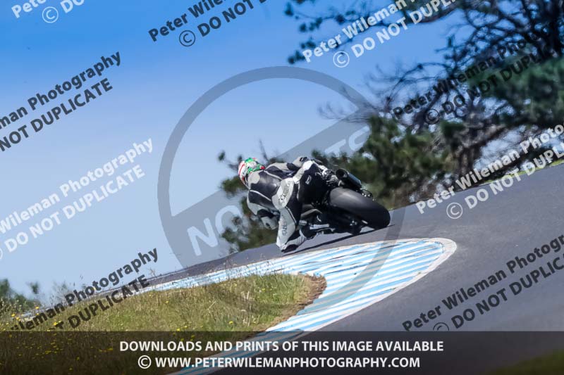 07th to 9th January 2019;Phillip Island;event digital images;motorbikes;no limits;peter wileman photography;trackday;trackday digital images