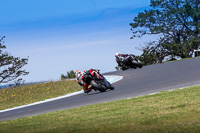 07th-to-9th-January-2019;Phillip-Island;event-digital-images;motorbikes;no-limits;peter-wileman-photography;trackday;trackday-digital-images