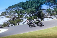 07th-to-9th-January-2019;Phillip-Island;event-digital-images;motorbikes;no-limits;peter-wileman-photography;trackday;trackday-digital-images