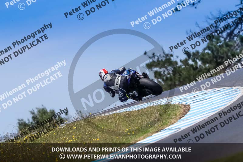 07th to 9th January 2019;Phillip Island;event digital images;motorbikes;no limits;peter wileman photography;trackday;trackday digital images