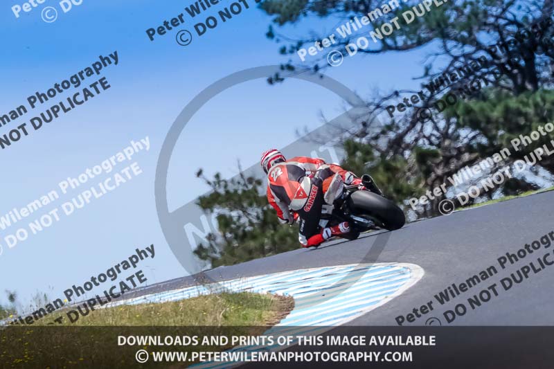 07th to 9th January 2019;Phillip Island;event digital images;motorbikes;no limits;peter wileman photography;trackday;trackday digital images