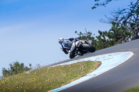 Advanced Gold Group Multicolour Bikes