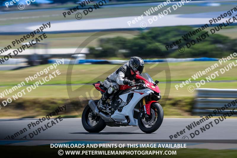 07th to 9th January 2019;Phillip Island;event digital images;motorbikes;no limits;peter wileman photography;trackday;trackday digital images