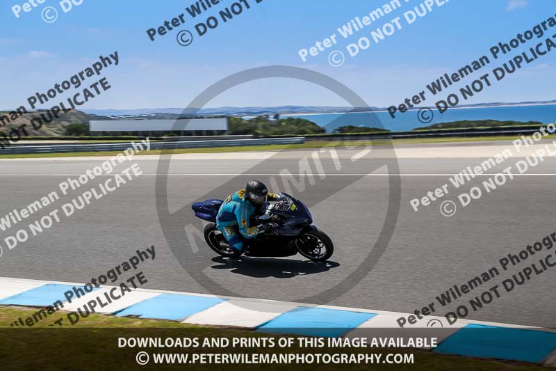 07th to 9th January 2019;Phillip Island;event digital images;motorbikes;no limits;peter wileman photography;trackday;trackday digital images