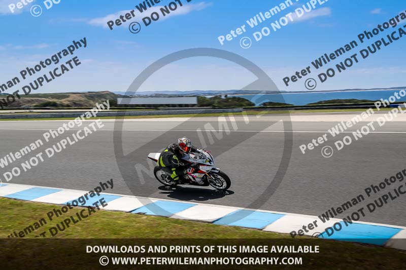 07th to 9th January 2019;Phillip Island;event digital images;motorbikes;no limits;peter wileman photography;trackday;trackday digital images