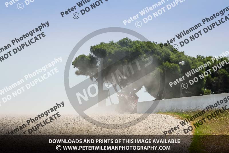 07th to 9th January 2019;Phillip Island;event digital images;motorbikes;no limits;peter wileman photography;trackday;trackday digital images