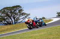 07th-to-9th-January-2019;Phillip-Island;event-digital-images;motorbikes;no-limits;peter-wileman-photography;trackday;trackday-digital-images