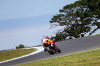 07th-to-9th-January-2019;Phillip-Island;event-digital-images;motorbikes;no-limits;peter-wileman-photography;trackday;trackday-digital-images
