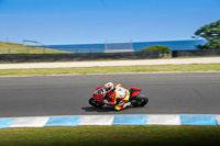 07th-to-9th-January-2019;Phillip-Island;event-digital-images;motorbikes;no-limits;peter-wileman-photography;trackday;trackday-digital-images