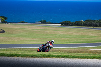 07th-to-9th-January-2019;Phillip-Island;event-digital-images;motorbikes;no-limits;peter-wileman-photography;trackday;trackday-digital-images