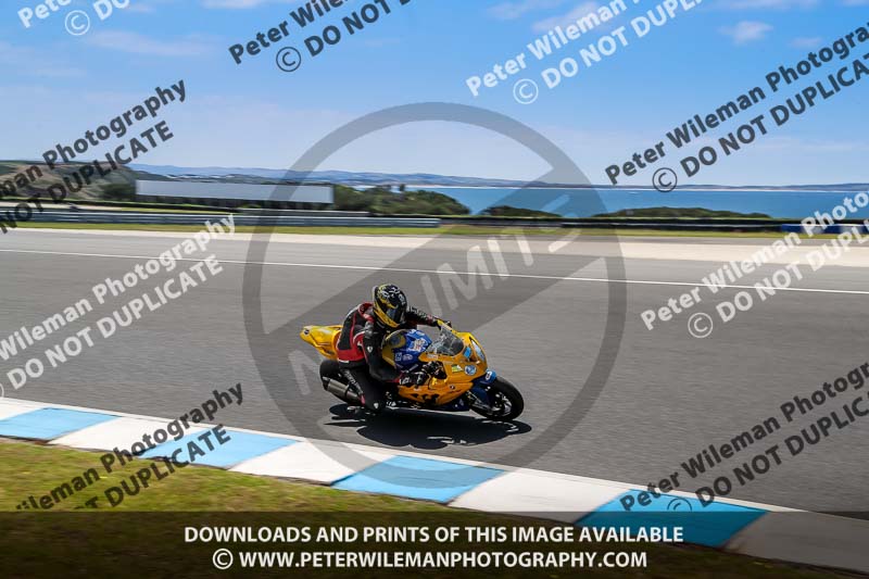 07th to 9th January 2019;Phillip Island;event digital images;motorbikes;no limits;peter wileman photography;trackday;trackday digital images