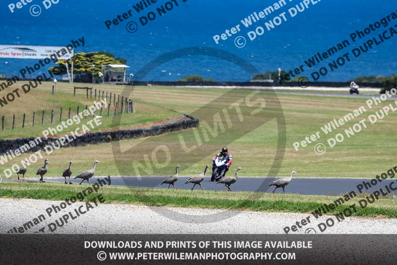 07th to 9th January 2019;Phillip Island;event digital images;motorbikes;no limits;peter wileman photography;trackday;trackday digital images