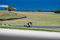07th-to-9th-January-2019;Phillip-Island;event-digital-images;motorbikes;no-limits;peter-wileman-photography;trackday;trackday-digital-images