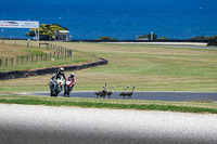 07th-to-9th-January-2019;Phillip-Island;event-digital-images;motorbikes;no-limits;peter-wileman-photography;trackday;trackday-digital-images