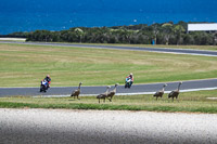 07th-to-9th-January-2019;Phillip-Island;event-digital-images;motorbikes;no-limits;peter-wileman-photography;trackday;trackday-digital-images