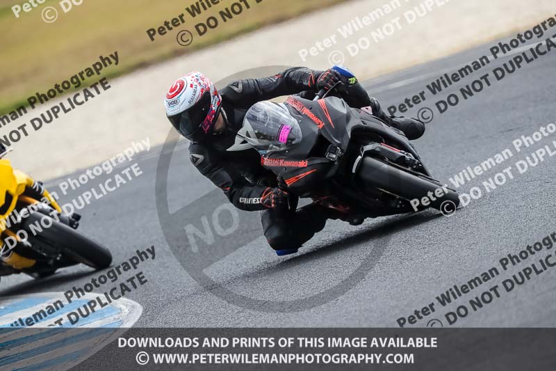 07th to 9th January 2019;Phillip Island;event digital images;motorbikes;no limits;peter wileman photography;trackday;trackday digital images