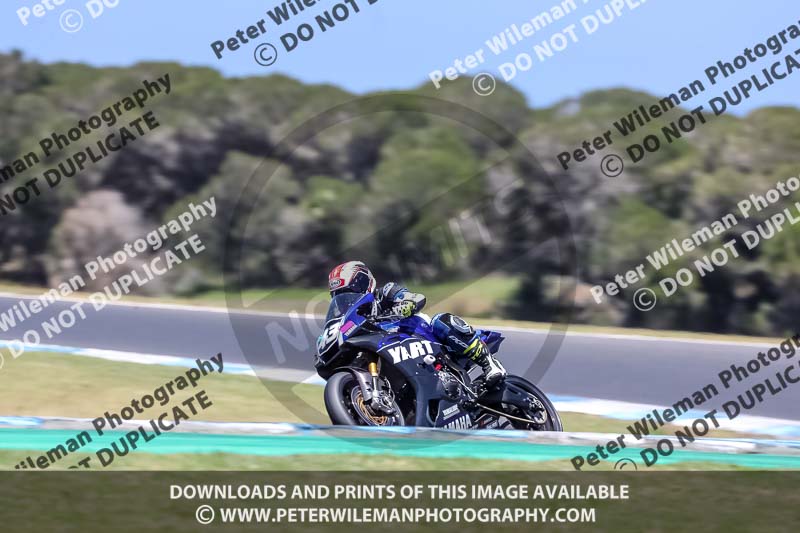 07th to 9th January 2019;Phillip Island;event digital images;motorbikes;no limits;peter wileman photography;trackday;trackday digital images
