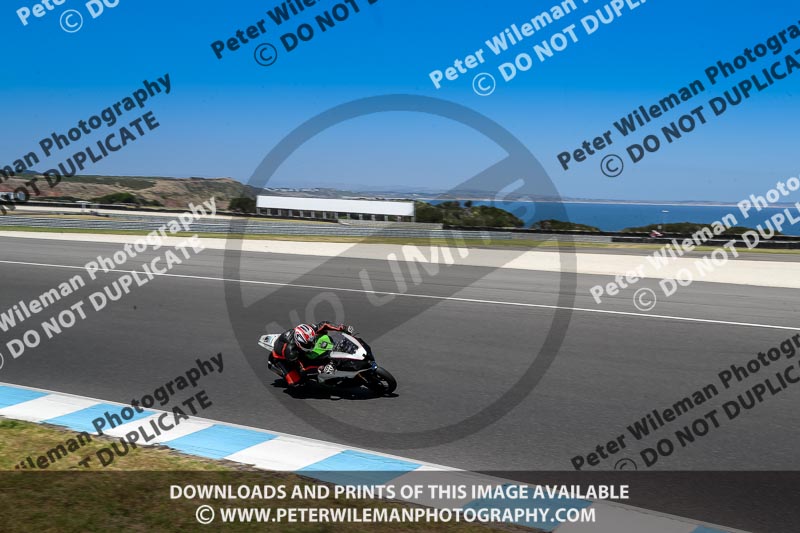 07th to 9th January 2019;Phillip Island;event digital images;motorbikes;no limits;peter wileman photography;trackday;trackday digital images