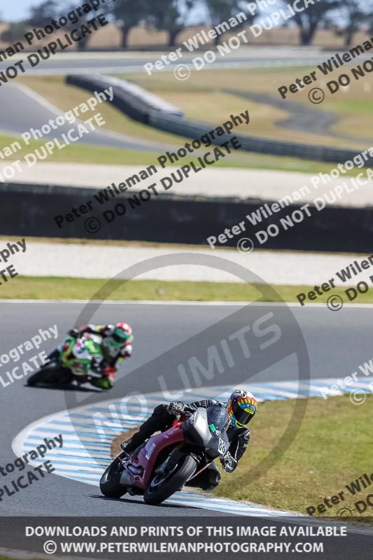 07th to 9th January 2019;Phillip Island;event digital images;motorbikes;no limits;peter wileman photography;trackday;trackday digital images