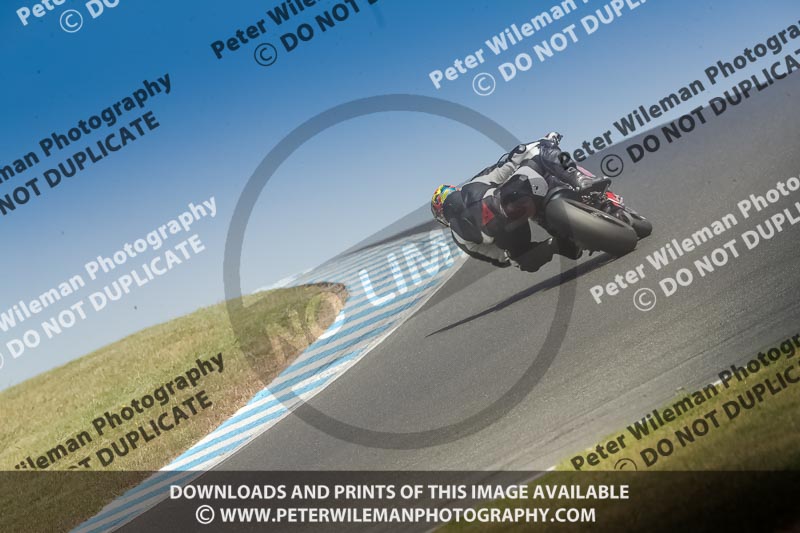 07th to 9th January 2019;Phillip Island;event digital images;motorbikes;no limits;peter wileman photography;trackday;trackday digital images