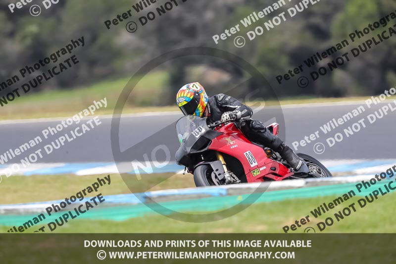07th to 9th January 2019;Phillip Island;event digital images;motorbikes;no limits;peter wileman photography;trackday;trackday digital images