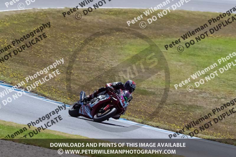 07th to 9th January 2019;Phillip Island;event digital images;motorbikes;no limits;peter wileman photography;trackday;trackday digital images