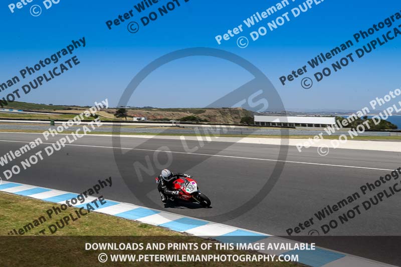 07th to 9th January 2019;Phillip Island;event digital images;motorbikes;no limits;peter wileman photography;trackday;trackday digital images