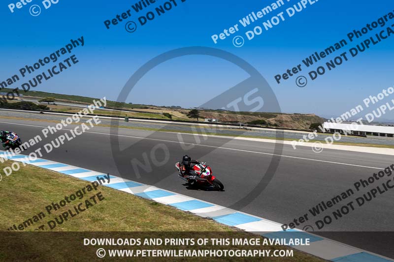 07th to 9th January 2019;Phillip Island;event digital images;motorbikes;no limits;peter wileman photography;trackday;trackday digital images