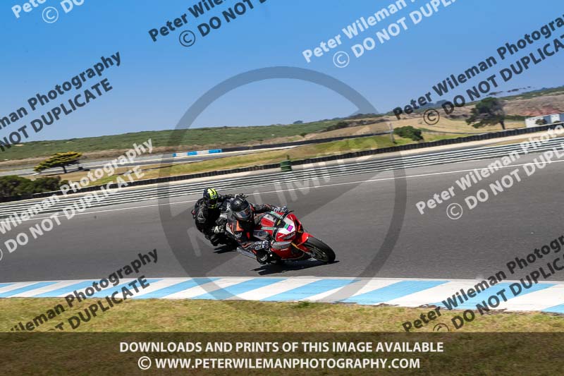 07th to 9th January 2019;Phillip Island;event digital images;motorbikes;no limits;peter wileman photography;trackday;trackday digital images