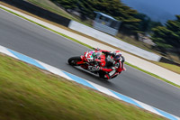 07th-to-9th-January-2019;Phillip-Island;event-digital-images;motorbikes;no-limits;peter-wileman-photography;trackday;trackday-digital-images