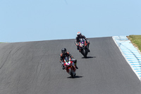 07th-to-9th-January-2019;Phillip-Island;event-digital-images;motorbikes;no-limits;peter-wileman-photography;trackday;trackday-digital-images