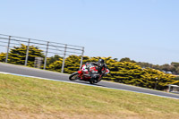 07th-to-9th-January-2019;Phillip-Island;event-digital-images;motorbikes;no-limits;peter-wileman-photography;trackday;trackday-digital-images