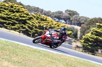 07th-to-9th-January-2019;Phillip-Island;event-digital-images;motorbikes;no-limits;peter-wileman-photography;trackday;trackday-digital-images