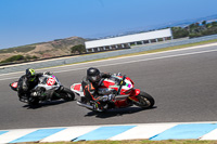 07th-to-9th-January-2019;Phillip-Island;event-digital-images;motorbikes;no-limits;peter-wileman-photography;trackday;trackday-digital-images