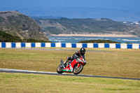 07th-to-9th-January-2019;Phillip-Island;event-digital-images;motorbikes;no-limits;peter-wileman-photography;trackday;trackday-digital-images