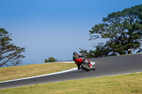 07th-to-9th-January-2019;Phillip-Island;event-digital-images;motorbikes;no-limits;peter-wileman-photography;trackday;trackday-digital-images