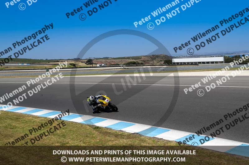 07th to 9th January 2019;Phillip Island;event digital images;motorbikes;no limits;peter wileman photography;trackday;trackday digital images